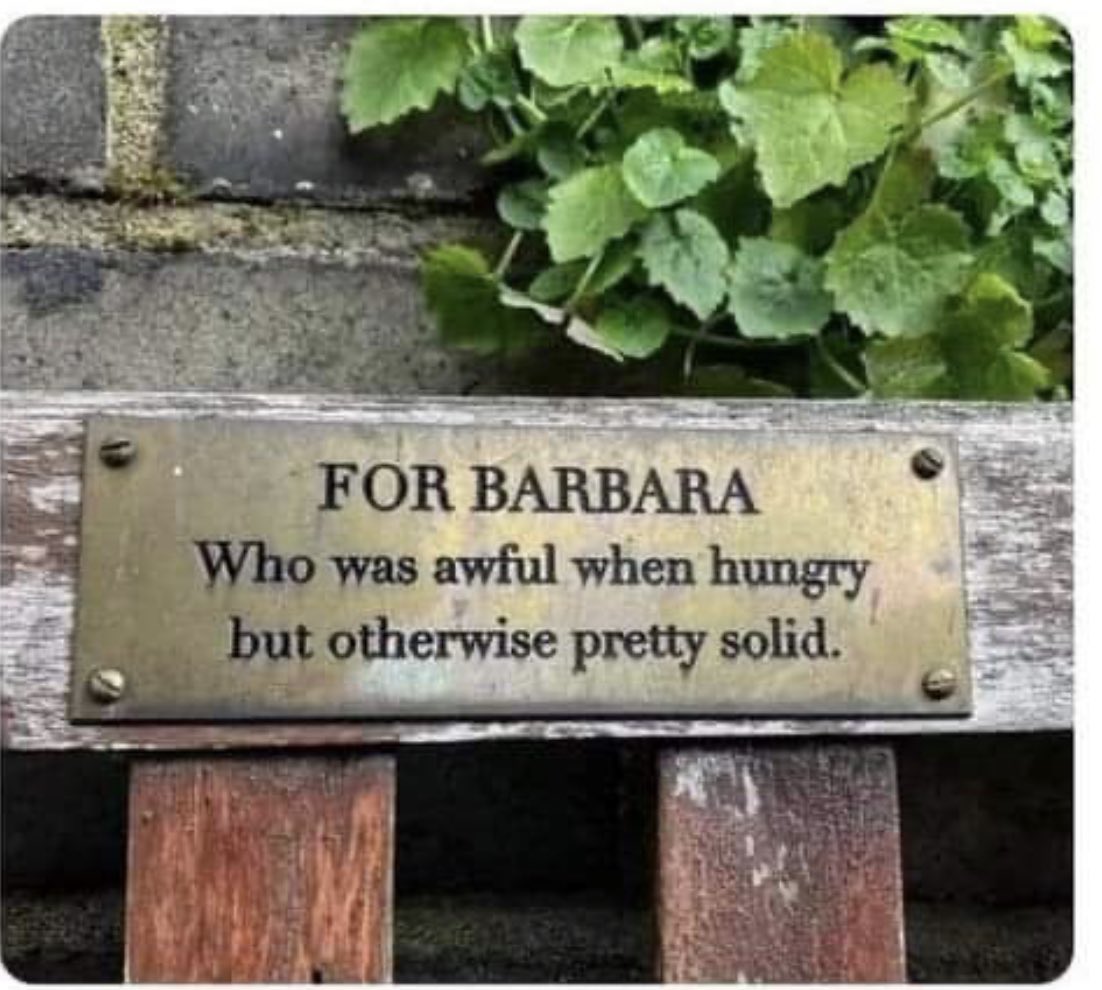 LynseyJWrites's tweet photo. I love Barbara https://t.co/Wrbo6Lsmmc