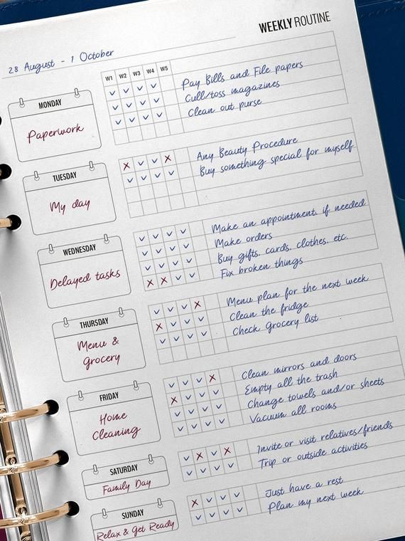 studymedab's tweet image. • Um pouco sobre a minha rotina •

Umas pessoas me pediram pra falar da minha rotina diária de estudos, então vou explicar aqui!