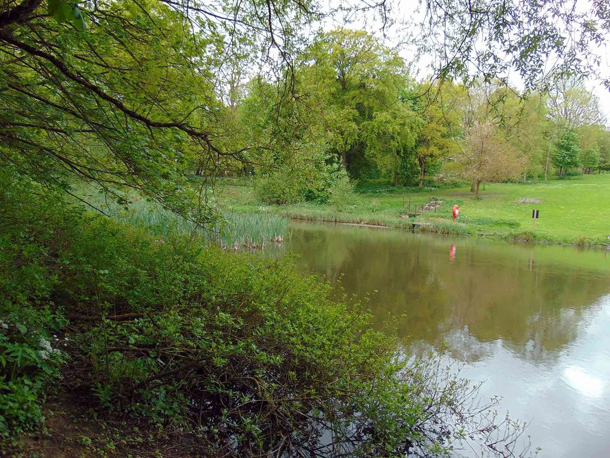 AnglingHall's tweet photo. 1st June 2023 is now just around the corner and we are really looking forward to the opening of our season. Access keys will be available to club members only (in-person) at Shotton Hall and a booking system is now live and accessible from our main website https://t.co/tcnYFKY3TU https://t.co/aZwr9WwADZ