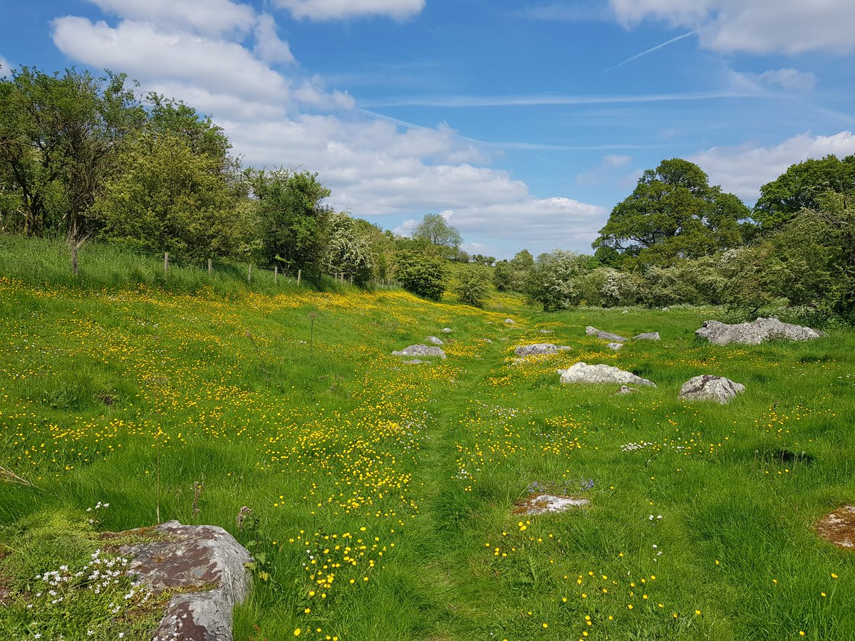 TheHistoryMouse's tweet photo. Wood for the living stone for the dead. When you stand in this silent landscape your really do stand in the footsteps of the ancestors #GreyWethers (1/3) #StandingStoneSunday https://t.co/gLSV0CHN5G