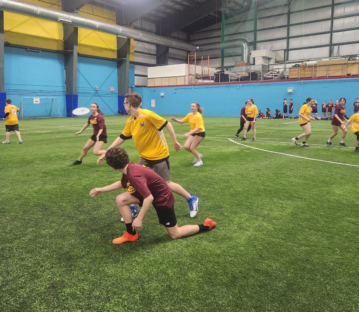 NL_ULTIMATE's tweet photo. Day two of our Junior High Ultimate Provincial Tournament has begun this morning!
Thanks to #vscnl for helping make the tournament happen. https://t.co/VBks9bqUT0