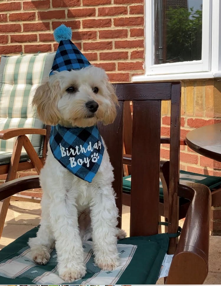 Happy birthday big boy! One year old today xxxx