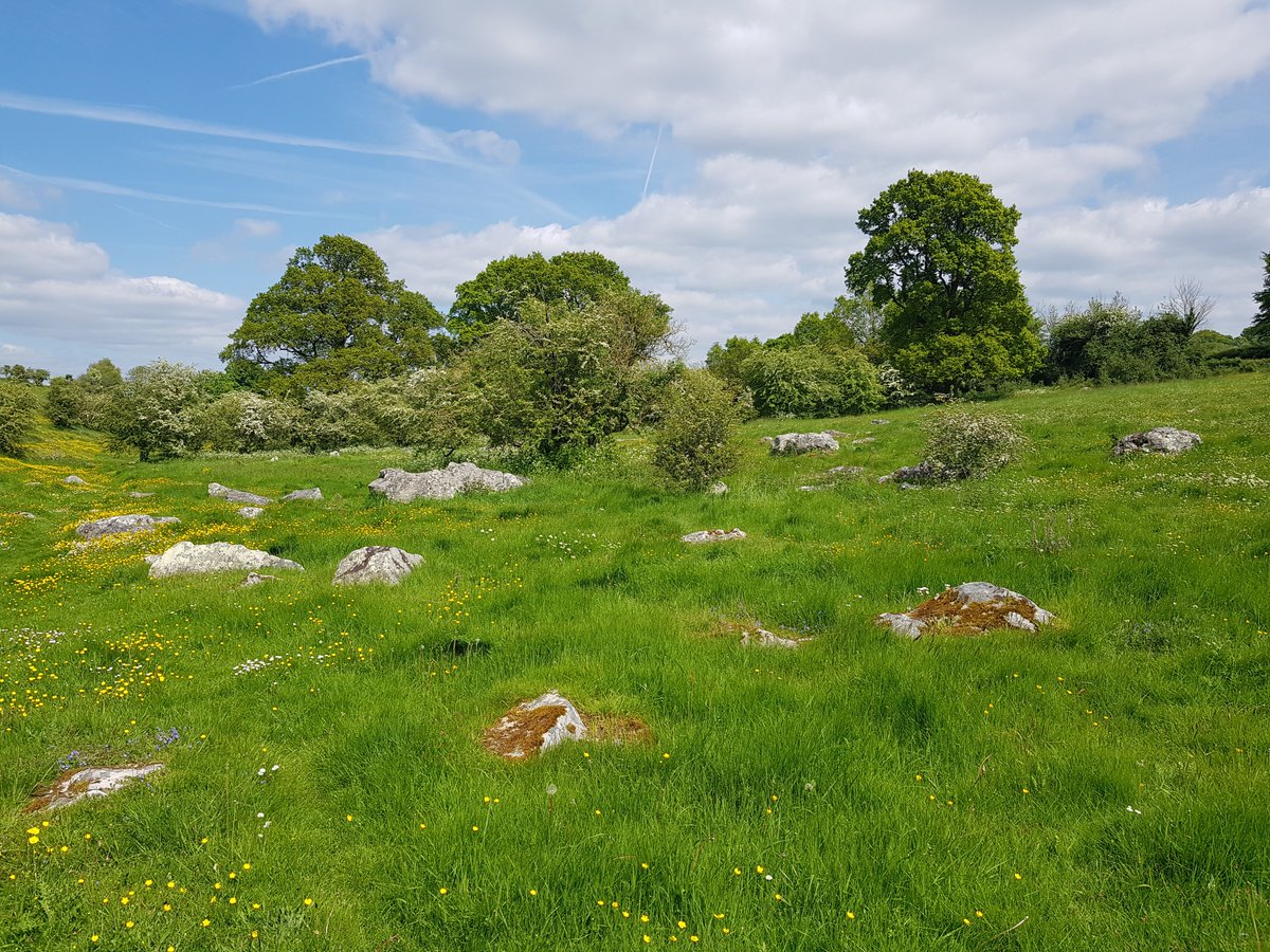 TheHistoryMouse's tweet photo. Wood for the living stone for the dead. When you stand in this silent landscape your really do stand in the footsteps of the ancestors #GreyWethers (1/3) #StandingStoneSunday https://t.co/gLSV0CHN5G