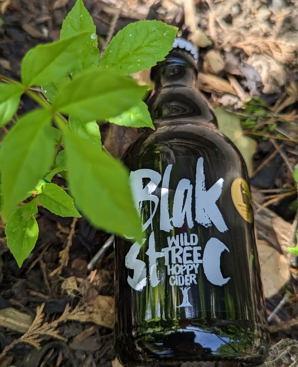 Mitch Adams tweet media