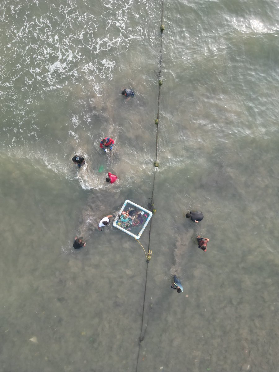 Platypus Foundation tweet media