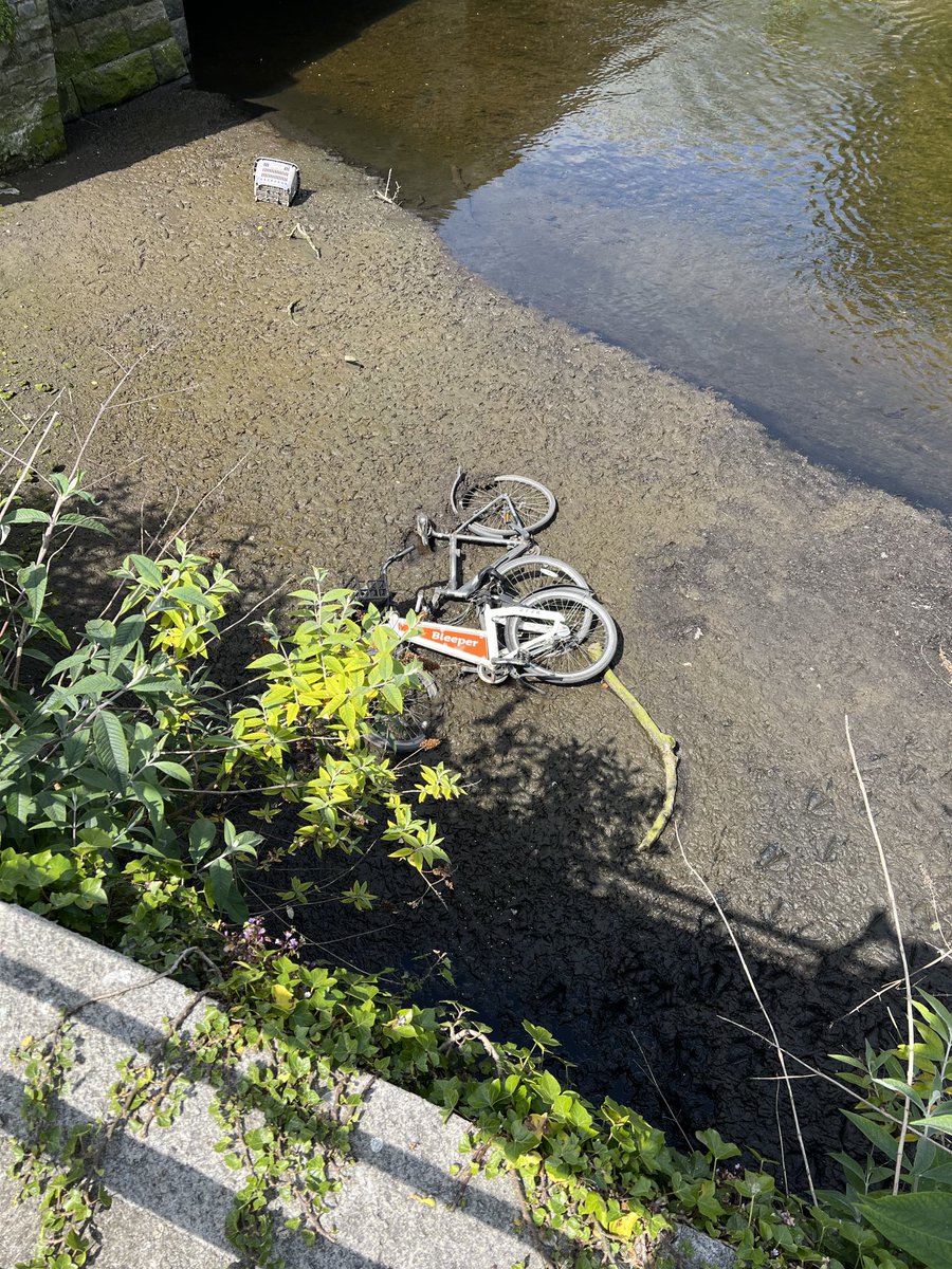⁦<a href="/BleeperActive/">Bleeper</a>⁩ one of your bikes in the. Dodder river opposite Marian College