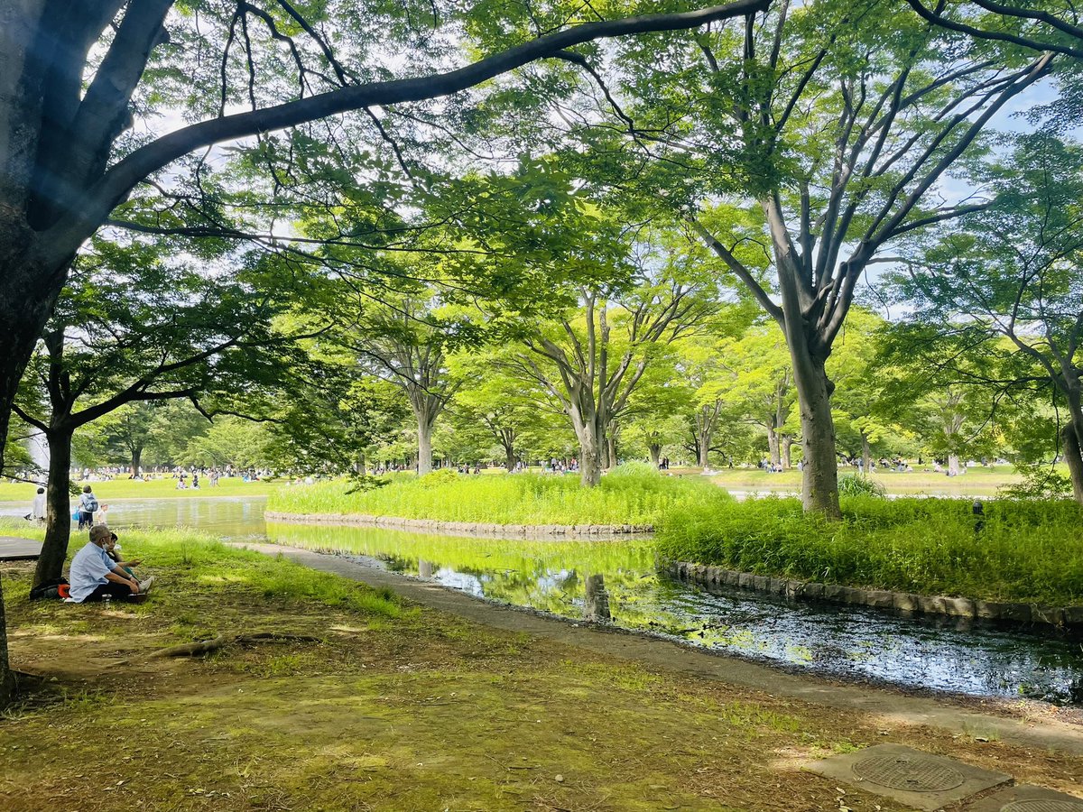 szkaoin's tweet image. 代々木公園でオシャレランチ🥪
かと思いきや、欲には勝てなかった🐟

#camelback
#ひいらぎ