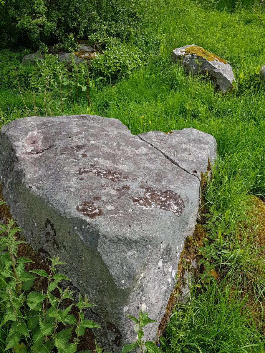 TheHistoryMouse's tweet photo. Wood for the living stone for the dead. What did our forebears see in the stones they chose to hold the souls of their ancestors? #GreyWethers (3/3) #StandingStoneSunday https://t.co/6tS3IuXubQ