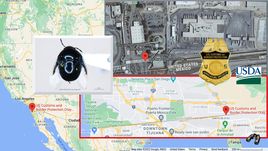 The Border Observer on Twitter "CBP Agriculture Specialists Stop the