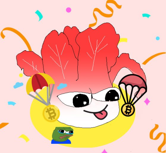 Kimchichi tweet media