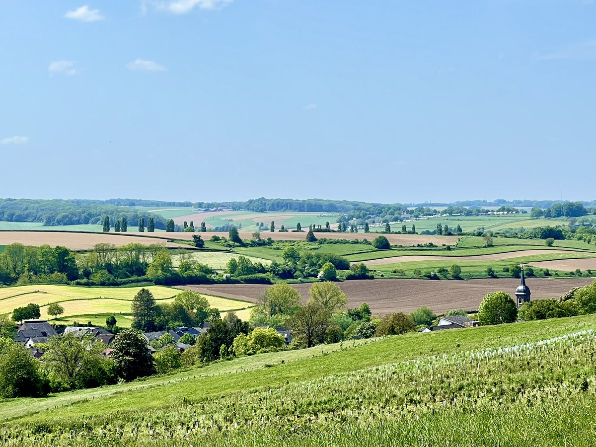 Porkchop Express on Twitter "Premium southern Dutch visuals"