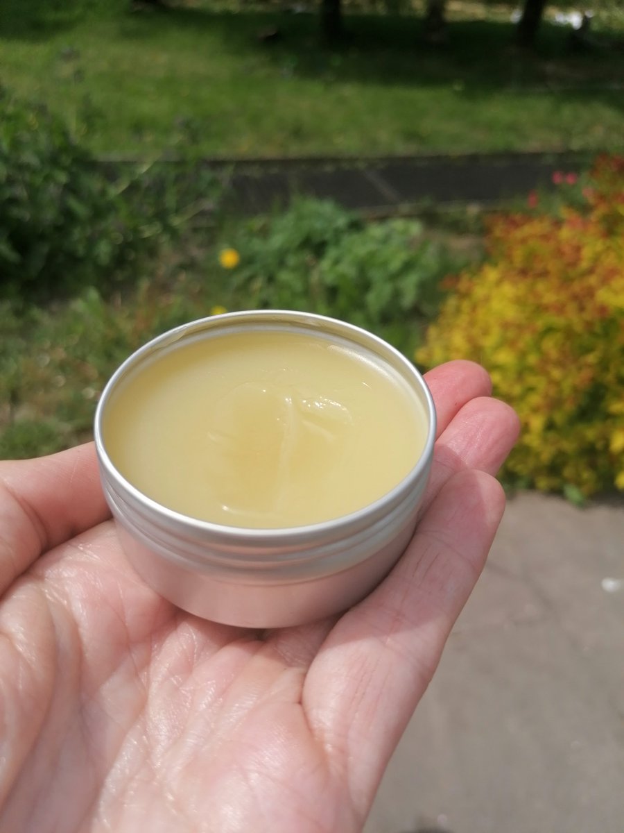 Japanese knotweed skin salve 😁