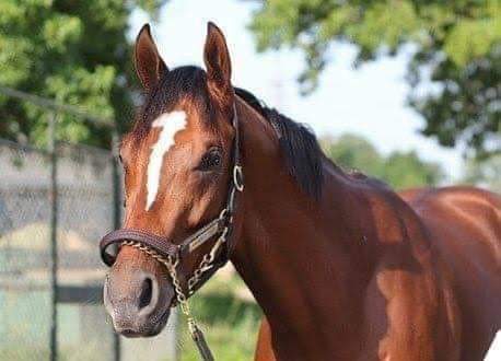 marspenny69oo's tweet image. Day 28 of #MaximumSecurity month