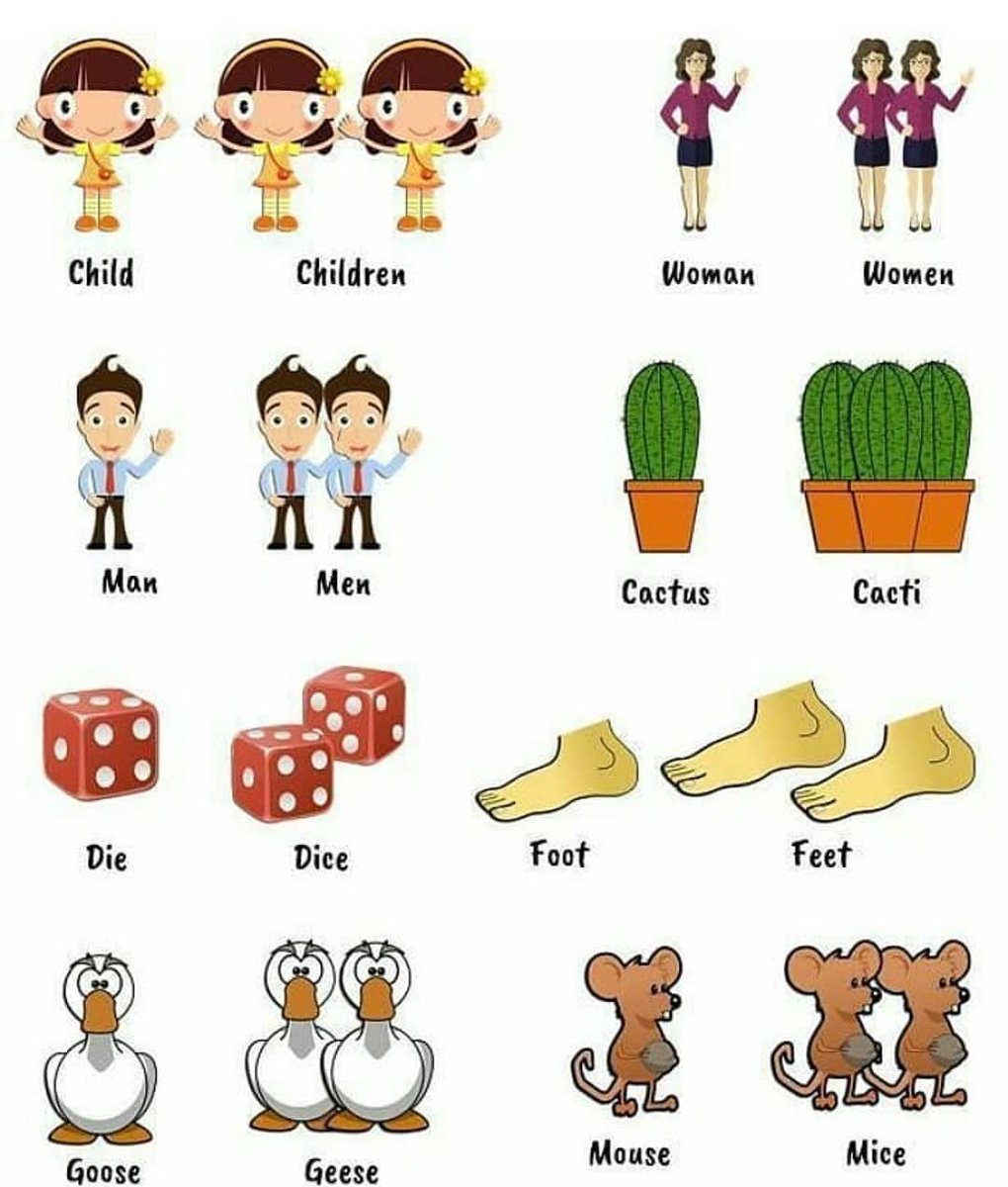 Irregular plurals