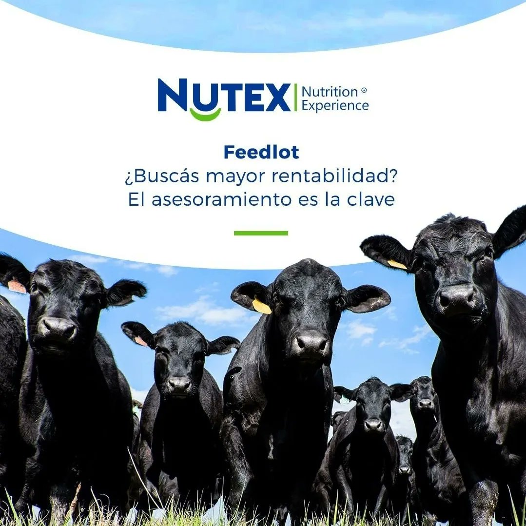 GElhordoy's tweet photo. En NUTEX tenemos una solución para cada necesidad
Te asesoramos, te lo procimos y te lo analizamos.
#feedlot #feedlots #corrales
#corral #encierro #nutex https://t.co/lGUs5TqtK0