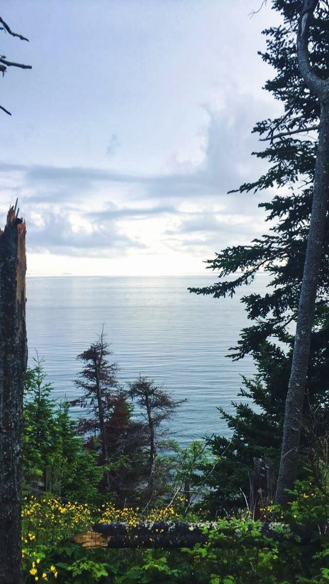 camurajegarlert's tweet photo. i love armin and eren's eyes, both for what they remind me of, and for the wonderful color that would come out if they were mixed: a wonderful greenish blue. 
a beautiful ocean landscape with a peaceful forest nearby.

#eremin #erenxarmin #freedom #ocean #forest https://t.co/td4r6xRPJL