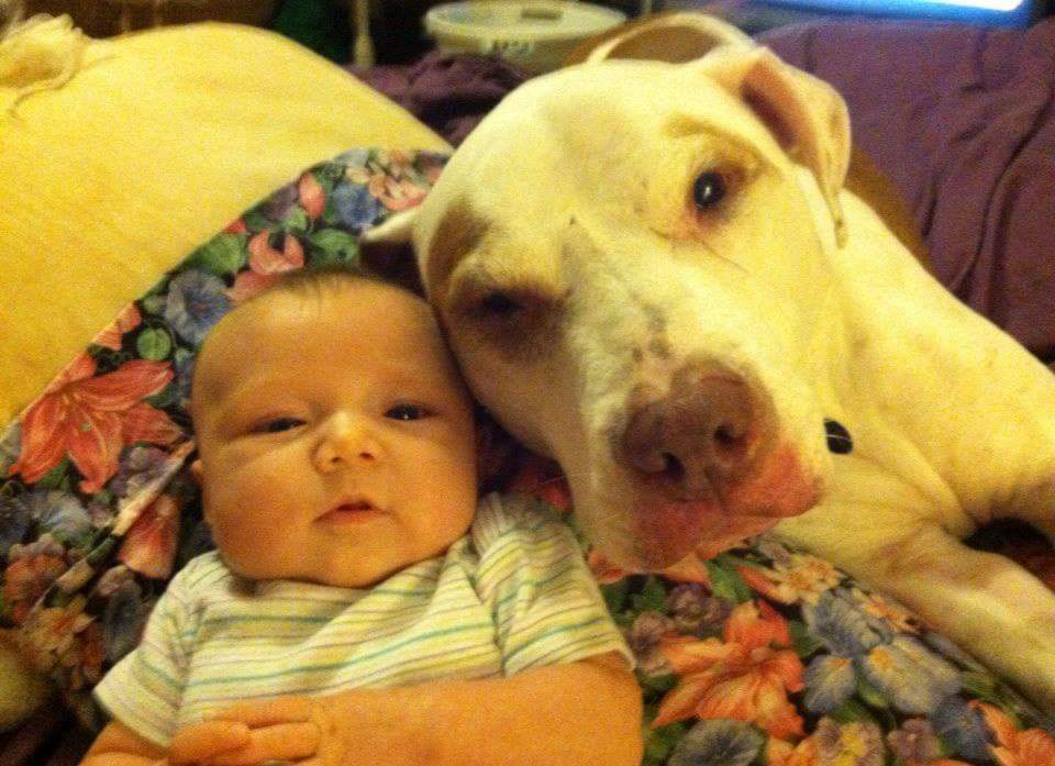 Hal Haney on Twitter "Just missing my sweet old buddy Rufus this