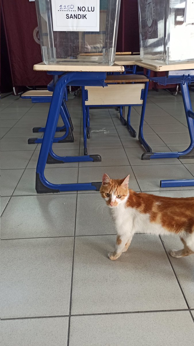 The Guardians of Turkish Democracy