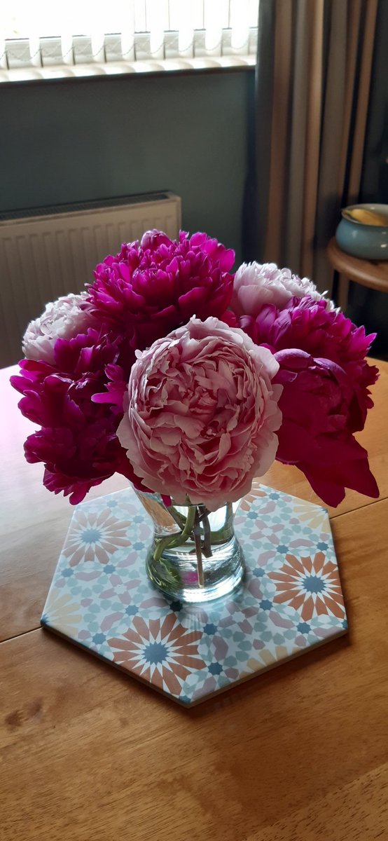 Sending you peonies to brighten your day ❤ xxx