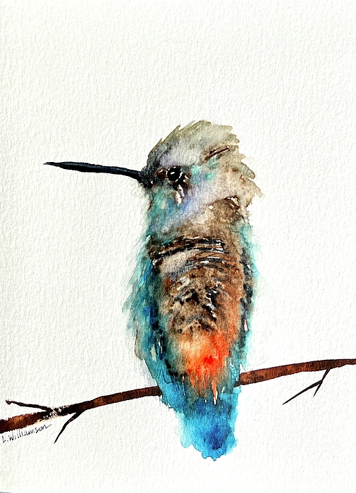 lynlwilliamson's tweet photo. New artwork for sale! - "Allen's Hummingbird" - https://t.co/xsg2VJn8qW @fineartamerica https://t.co/IEJRpS8suS