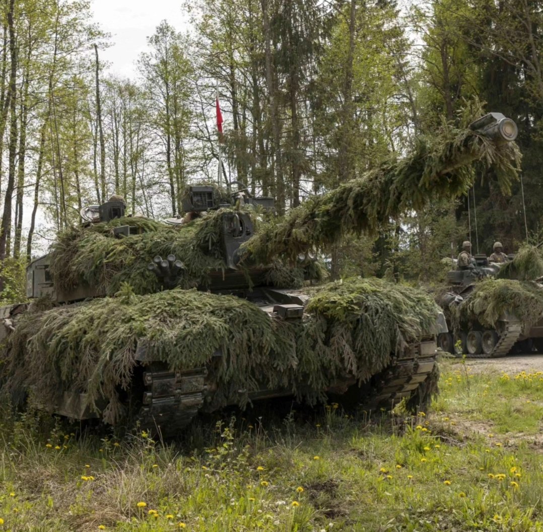 The Light Dragoons tweet media