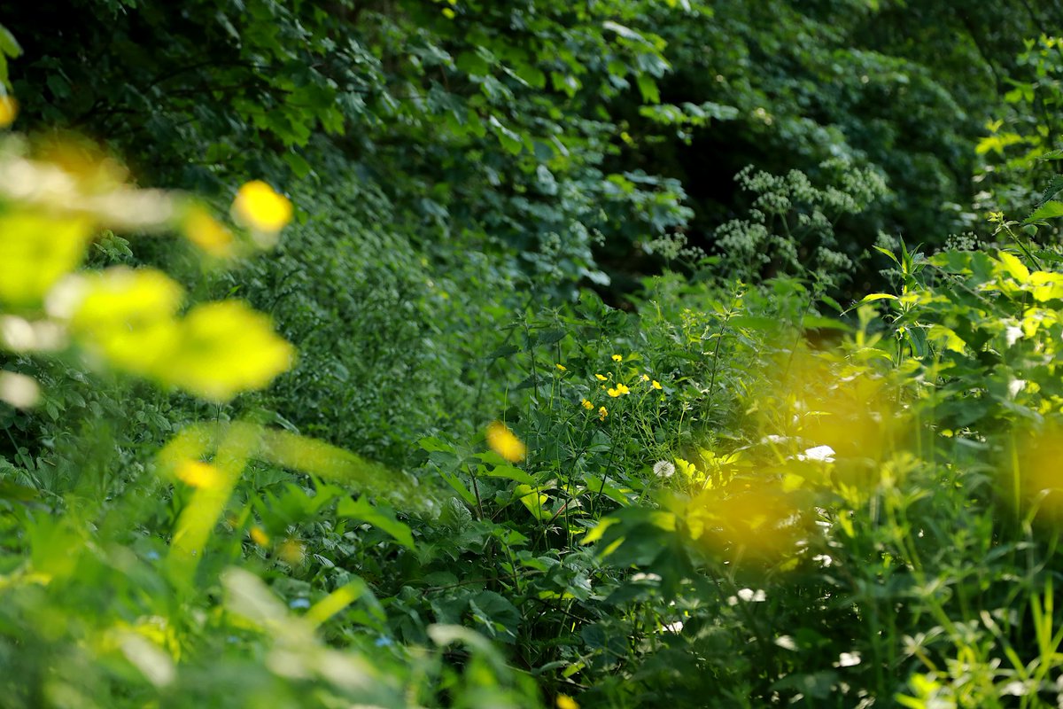 PhDancersTeapot🏳️🌈🍵 tweet media