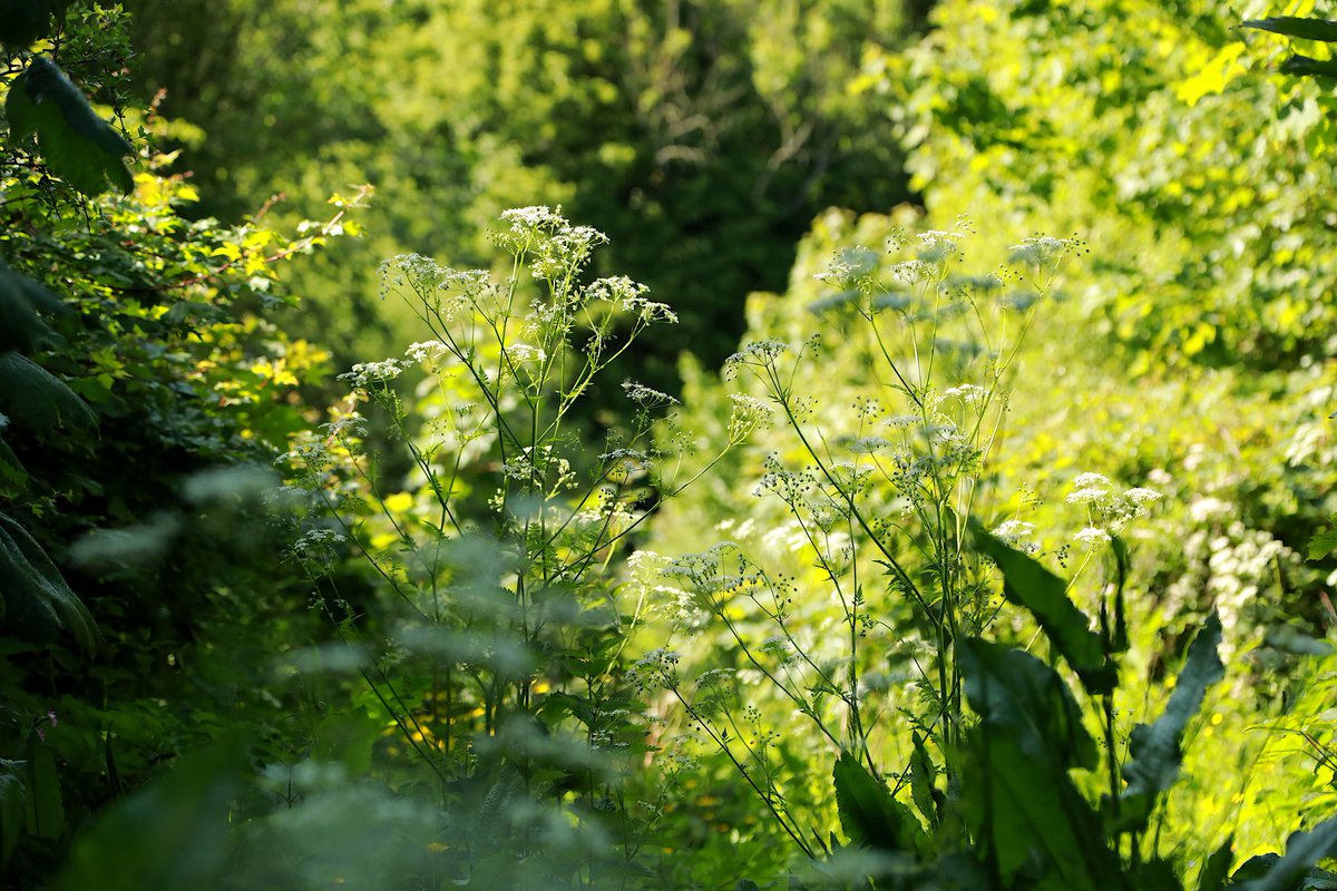 PhDancersTeapot🏳️🌈🍵 tweet media