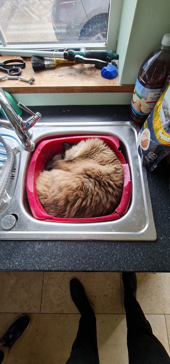 Optotron tweet media