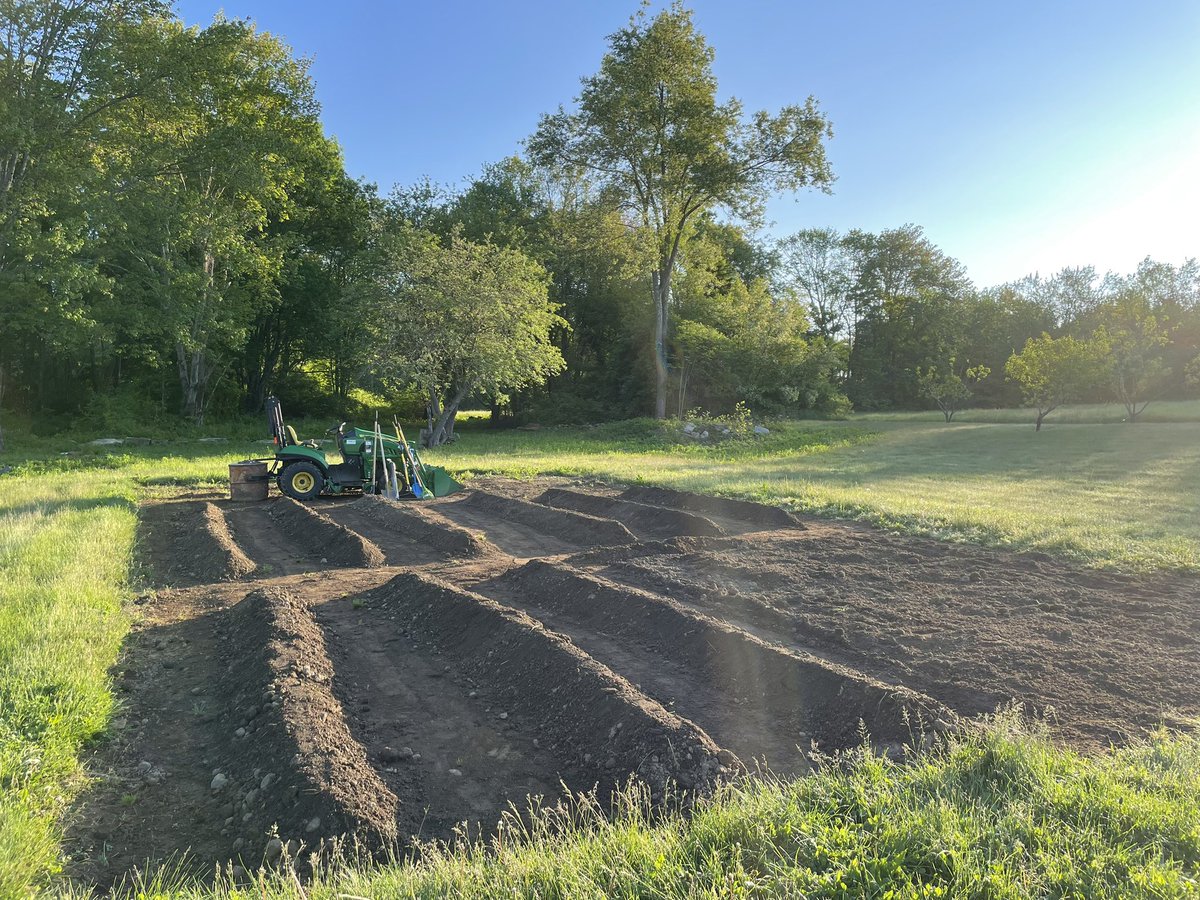 grtfulivingLLC's tweet photo. Getting there ✌️❤️🧦🌽🥬🥦🥒🥕 @FlipSockz @grtfulivingLLC @FinallyHomeFarm https://t.co/ar5M4Gx29p