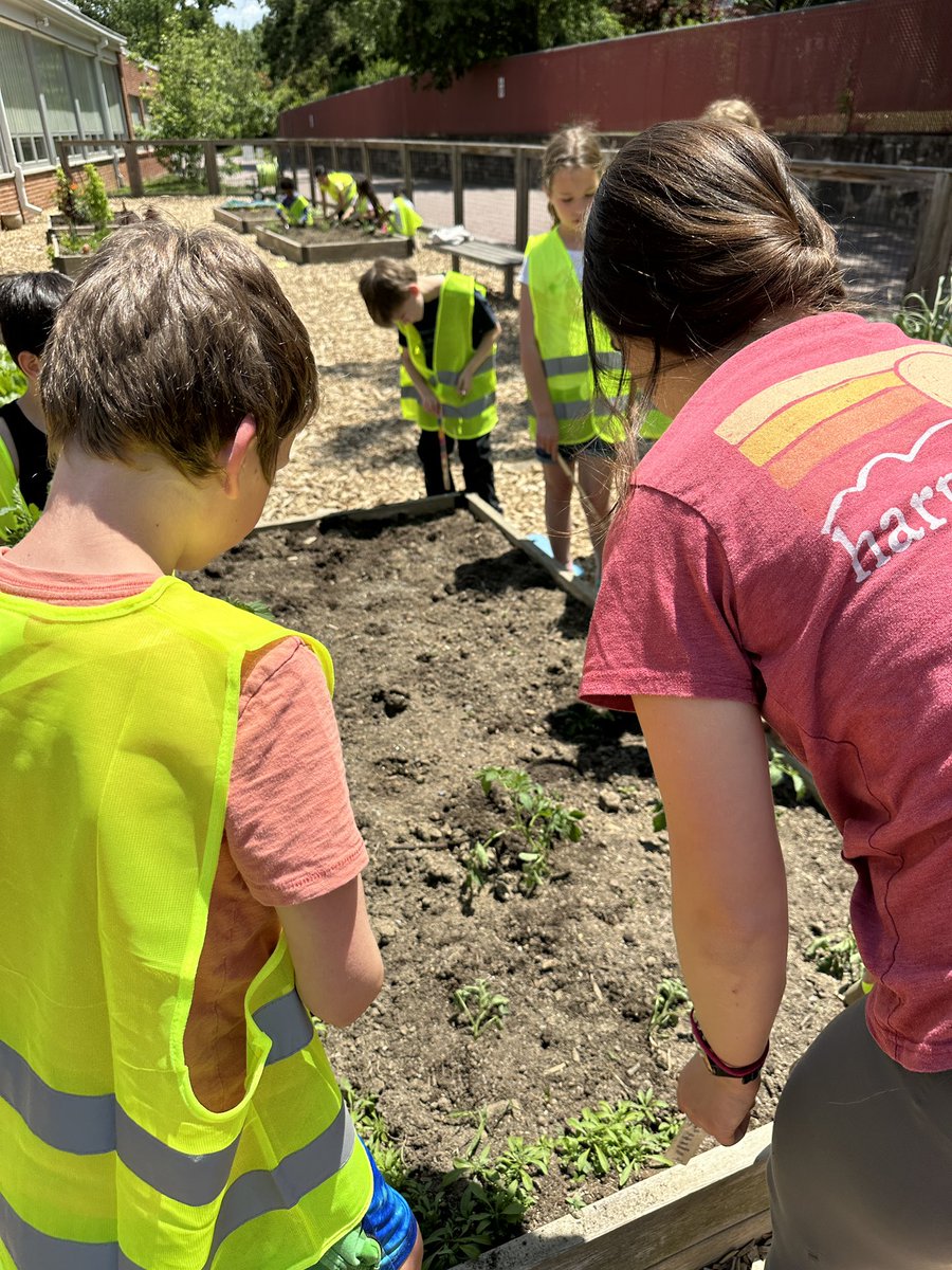 Thank you <a href="/AbingdonPTA/">Abingdon PTA</a> for these wonderful Eco Action vests!!! The kids feel seen and important, plus now we know when they are on the job! The Garden Crew is planting the summer crops. 🫛🌽🥦🥬🫑🍓🧄<a href="/AbingdonGIFT/">Abingdon APS</a> <a href="/EcoActionArl/">EcoAction Arlington</a> @APSscience