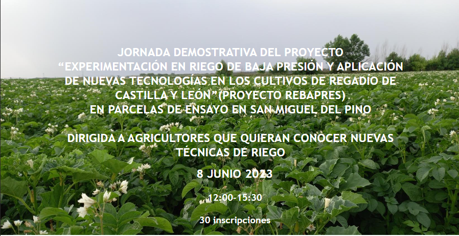 ITACYL's tweet photo. Jornadas divulgativas del proyecto "Experimentación en riego de baja presión y aplicación de nuevas tecnologías en los cultivos de regadío de CyL #REBAPRES #FEADER
📅8/6📍San Miguel del Pino(Va)✍️https://t.co/RTUnrNm5qU
📅15/6📍 Soto de Cerrato(Pa)✍https://t.co/0lelkSwVhe https://t.co/SrgzuVAATs