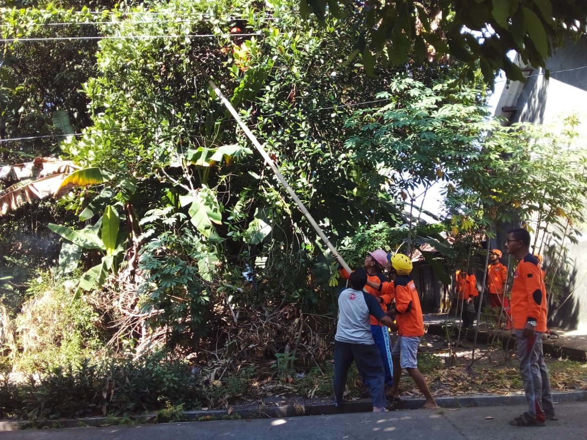 Giat Rabas-Rabas Pohon yang menggangu jaringan listrik dan membahayakan pengguna jalan oleh FPRB Kalurahan Pleret di Padukuhan Kedaton dan Padukuhan Bedukan, Minggu (28/05/2023).