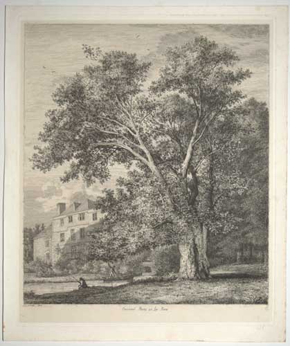 grosvenorprints's tweet photo. 1,000's to Plant Trees in Memory: It's Celebration Day; #sundayvibes #weekend #trees #Strutt #family #landscape #CelebrationDay #May #plants #friends #gardening #gardens #rememberance @NTrust_Art_Coll @CelebrationDay_ #love #memories; https://t.co/uiVqGEvJ1E https://t.co/oJNmZGJfQR
