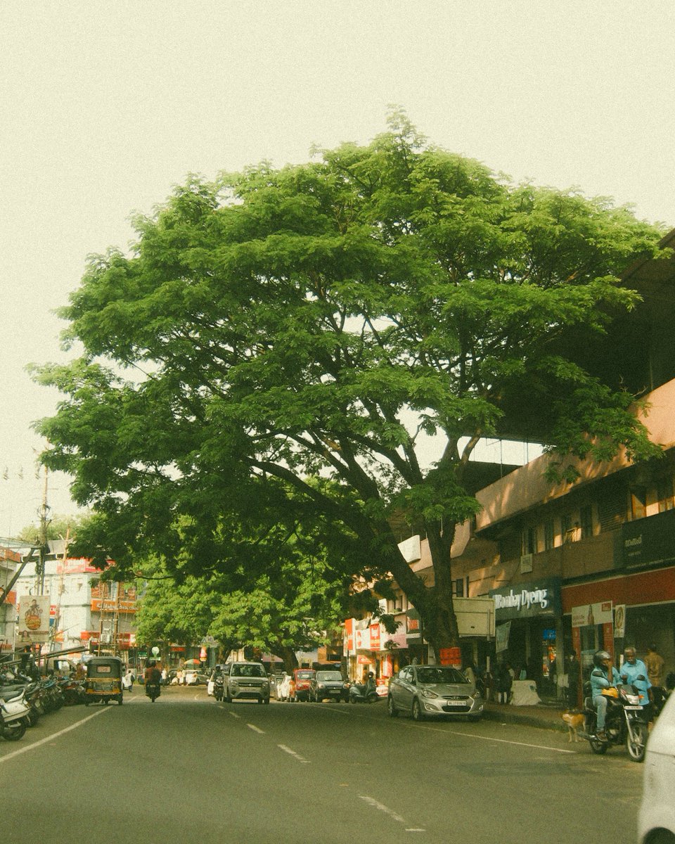 the3rdtone's tweet image. Daily photo project      
#7mp // shot 12  

Feel free to retweet 🙂