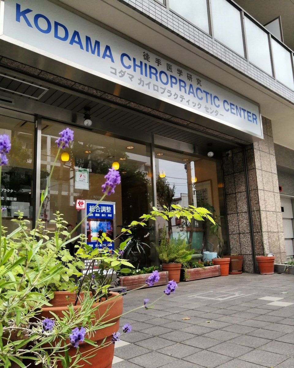 kodamachiropra1's tweet photo. 日曜日定休日だが既存の患者さんが調子悪いので午前中治療でした。
#首の痛み #首が痛い #頸部痛
#頭痛 #headach #後頭部痛
#後頭神経痛 #首の痛み三茶
#首が痛い三軒茶屋 #頭痛三茶
#筋膜リリース #矯正 #指圧
#カイロプラクティック三軒茶屋
#整体三軒茶屋 #後頭下筋 https://t.co/oebKr1VIwI