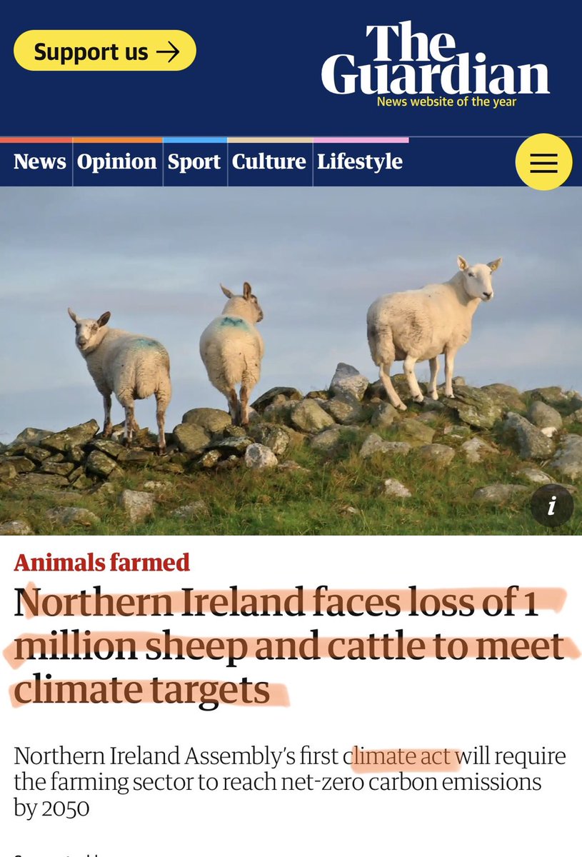 This will work out great I’m sure….