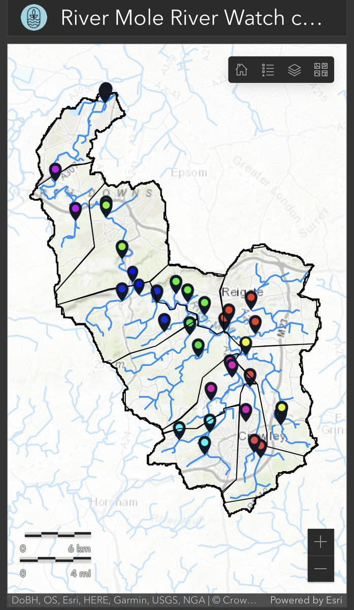 Simon Collins tweet media