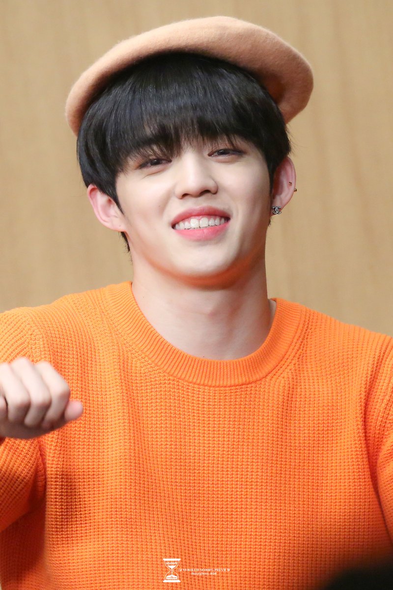 190208 HOME 팬싸 #세븐틴 #seventeen #scoups #최승철 #승철 #에스쿱스 #エスクプス