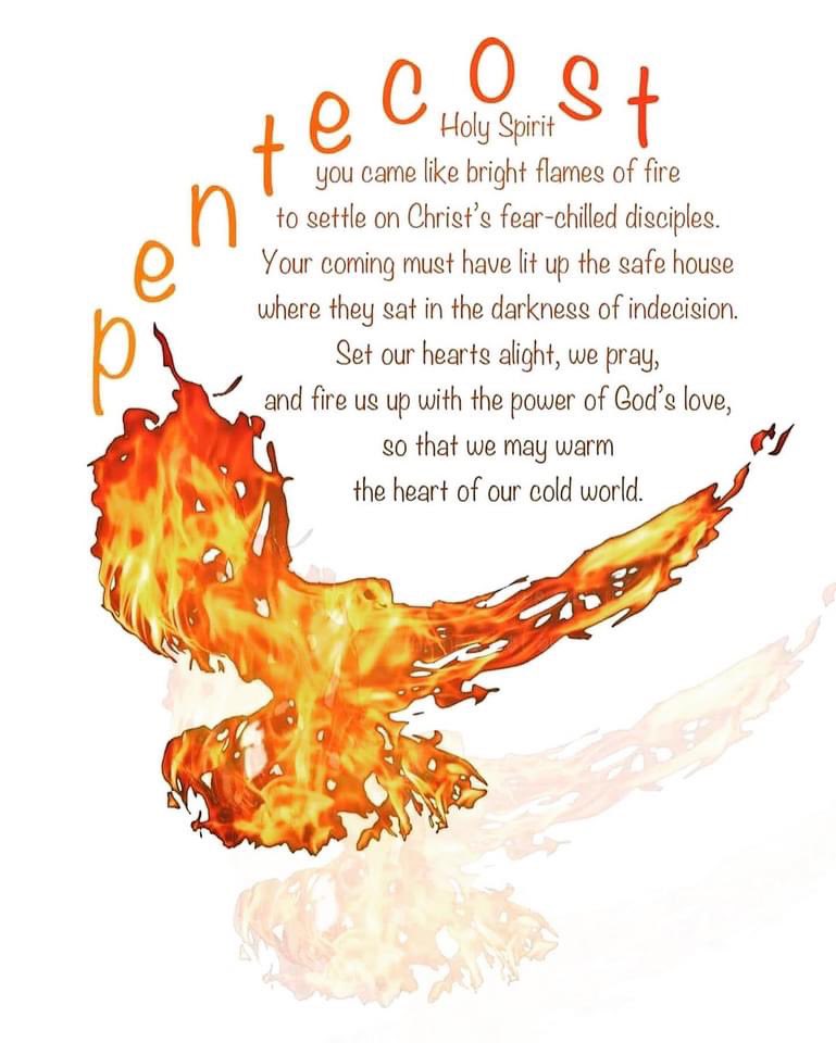 Pentecost Blessings! 
#sunday #blessings #sundayblessings #bible #bibleverse #scripture #romans #acts #god #lord #lordgod #thelord #christjesus #jesus #lordjesus #jesuschrist #holyspirit #comforter #advocate #holyghost #pentecost #enjoy #enjoylife #davisonlupinski #toridavison