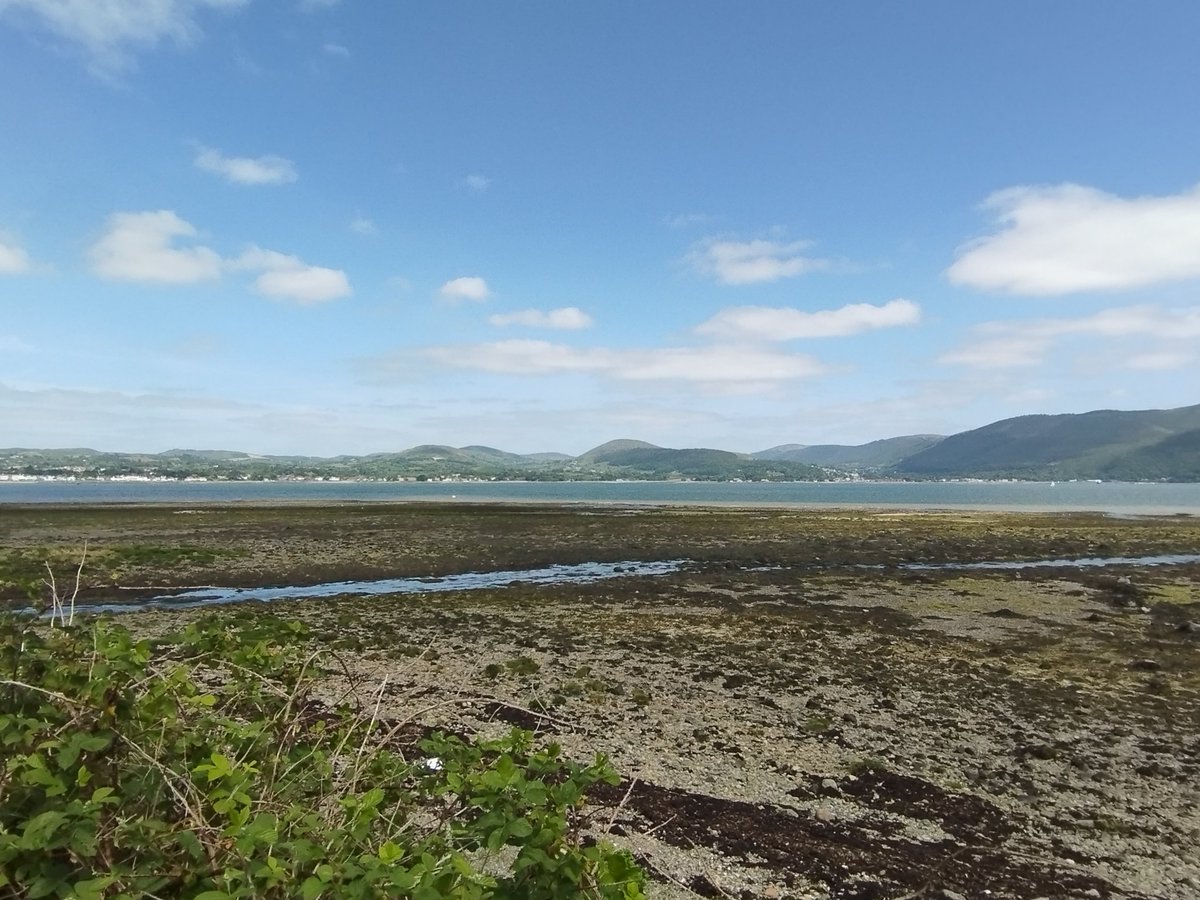 Nice day for a walk on carlingfordlough greenway