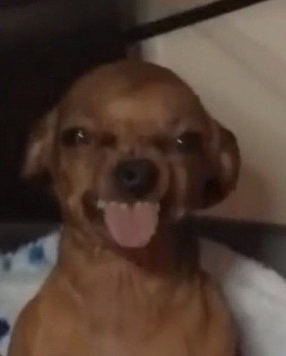 ꧁•⊹٭𝙱𝚎𝚕𝚕𝚊 𝙱٭⊹•꧂ tweet media