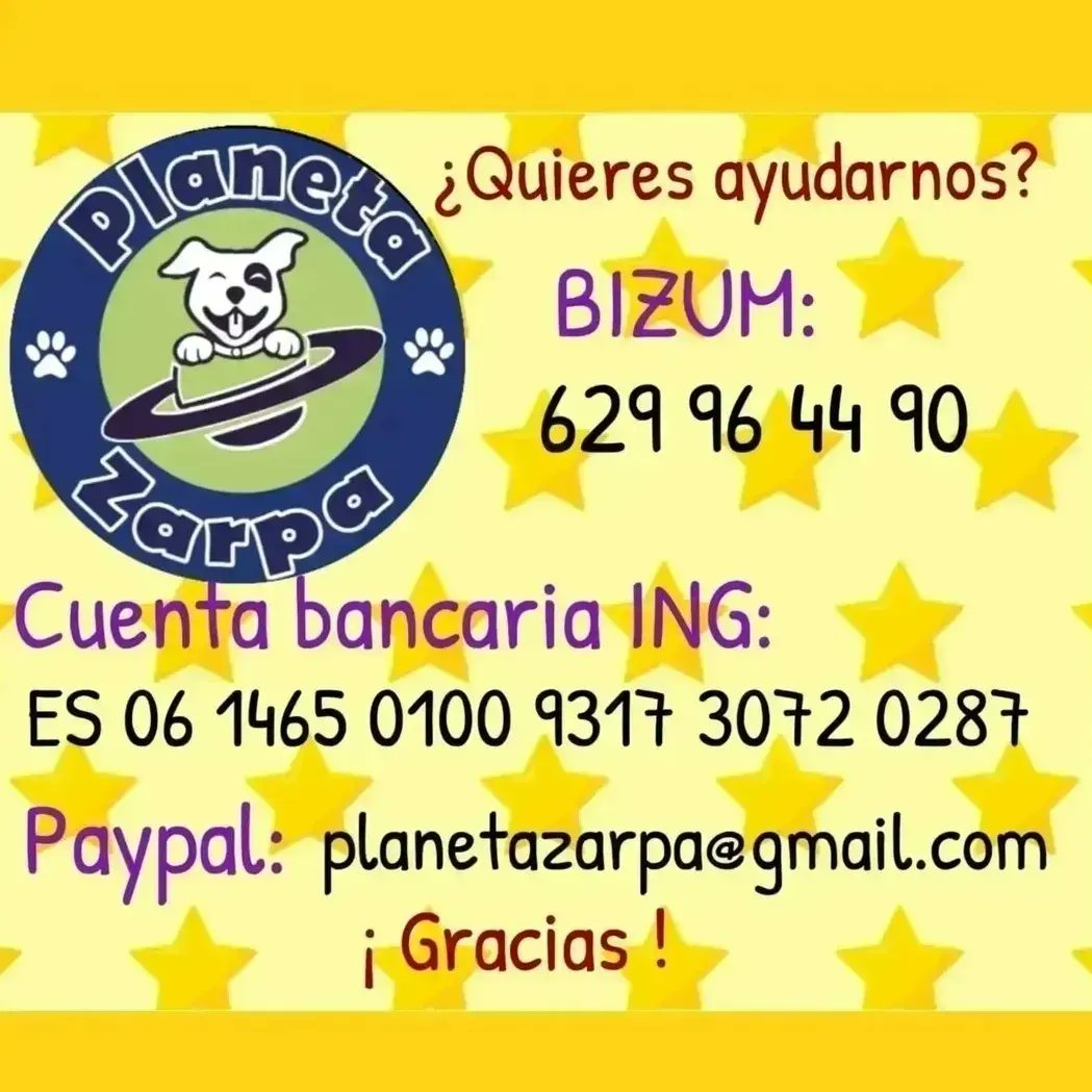planetazarpa's tweet photo. Gracias a @ELJUSTICIERO_ES, @raquelstrr, #AnaIsabelDC y @hoyu_e pegamos un nuevo empujón a las facturas!
Todavía nos faltan 406€ y el mes termina en pocos días 😵💫
Nos ayudáis a seguir ayudándoles 🐾🙏
Todo ayuda, todo suma💪
@Quima23 @Ainhara69 @raquelstrr @Atabales_Tocan https://t.co/CzZxE4kKFk