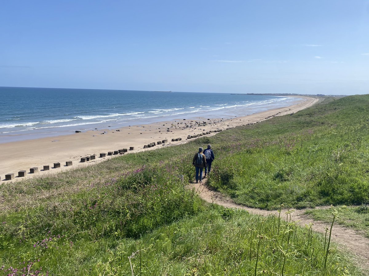 You can’t beat the North East coast! Spotted some of the Amble Art Trail Bord Waalk sculptures too on the     Northumberland coastal path. Grim up North? 🤷🏻‍♀️