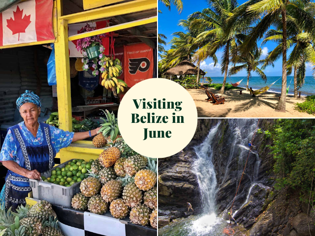 ☀️ May in Belize - What to Expect &amp; Things to Do - mailchi.mp/8a8aa62ad914/m…