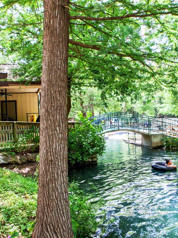 I am sure you won't visit natural springs in Texas without taking a refreshing bath in the pool formed by these springs where swimming is allowed.

Read the full article: These are the 11 fantastic natural springs in Texas
▸ lttr.ai/ACOF1

#ExtremelyPopular