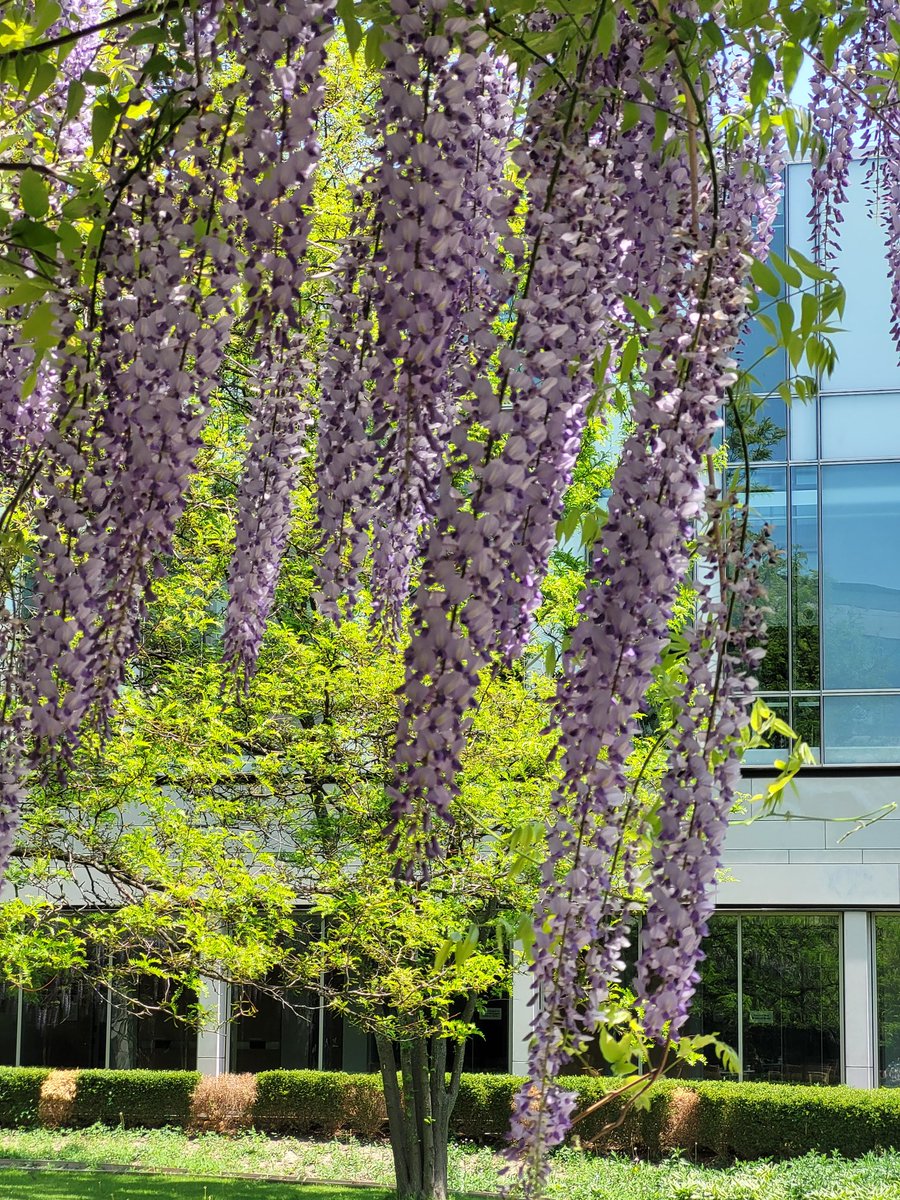 Desiree MarshallPeer tweet media