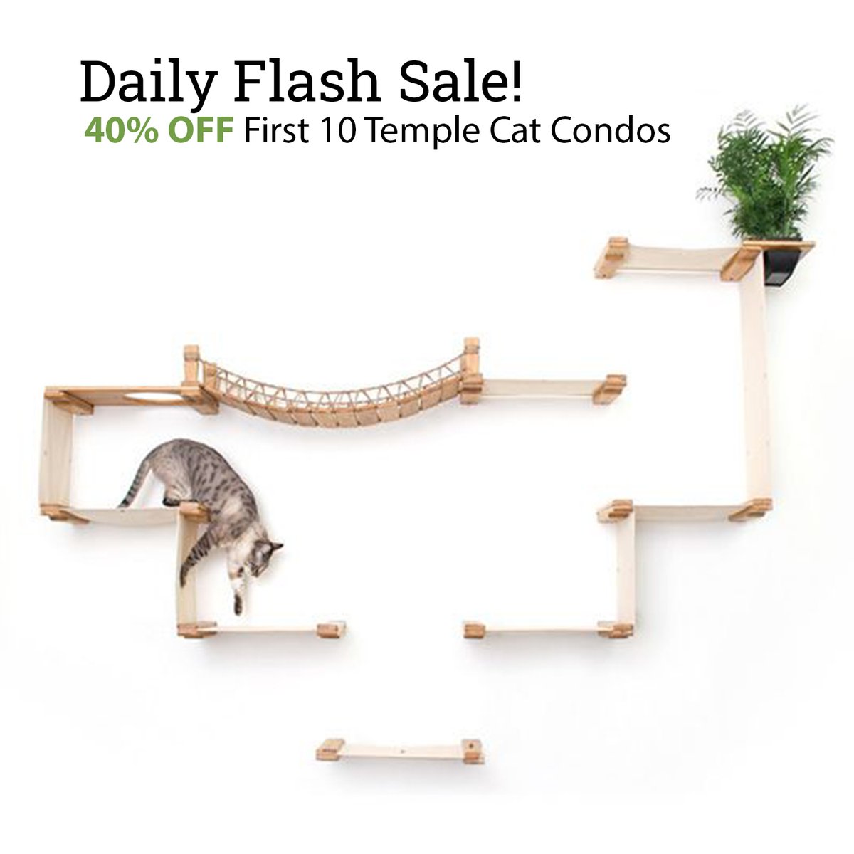 CataCreations's tweet photo. Sunday's Spring Sale Deal! Get 40% off the next 10 Temple Cat Condos. This is a limited offer, so hurry over and apply the coupon code Temple40 at checkout to save up to $210.

https://t.co/rYc1DodpX5 https://t.co/eGrEuPeM3j
