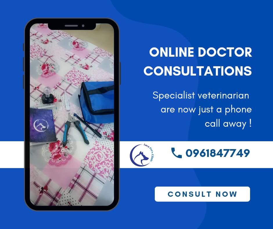 ClinicLuca's tweet photo. نظرا لما تمر به الخرطوم 
وإيمانآ منا بدورنا اتجاة هذه الأرواح التي تتألم ولا تشكو 
فتح الاستشارات البيطرية بصورة مجانية لكل مربي وهواة الحيوانات الأليفة  بالخرطوم 🤍🐾
                                                               #lucapetsclinic 
اللهم سلم البلاد والعباد https://t.co/ihWJwIPctM