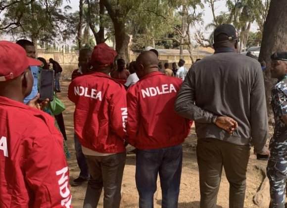 thecableng's tweet image. .@ndlea_nigeria arrests 26 ‘drug dealers’ with 2.6kg of illicit substances in Gombe | TheCable thecable.ng/ndlea-arrests-…