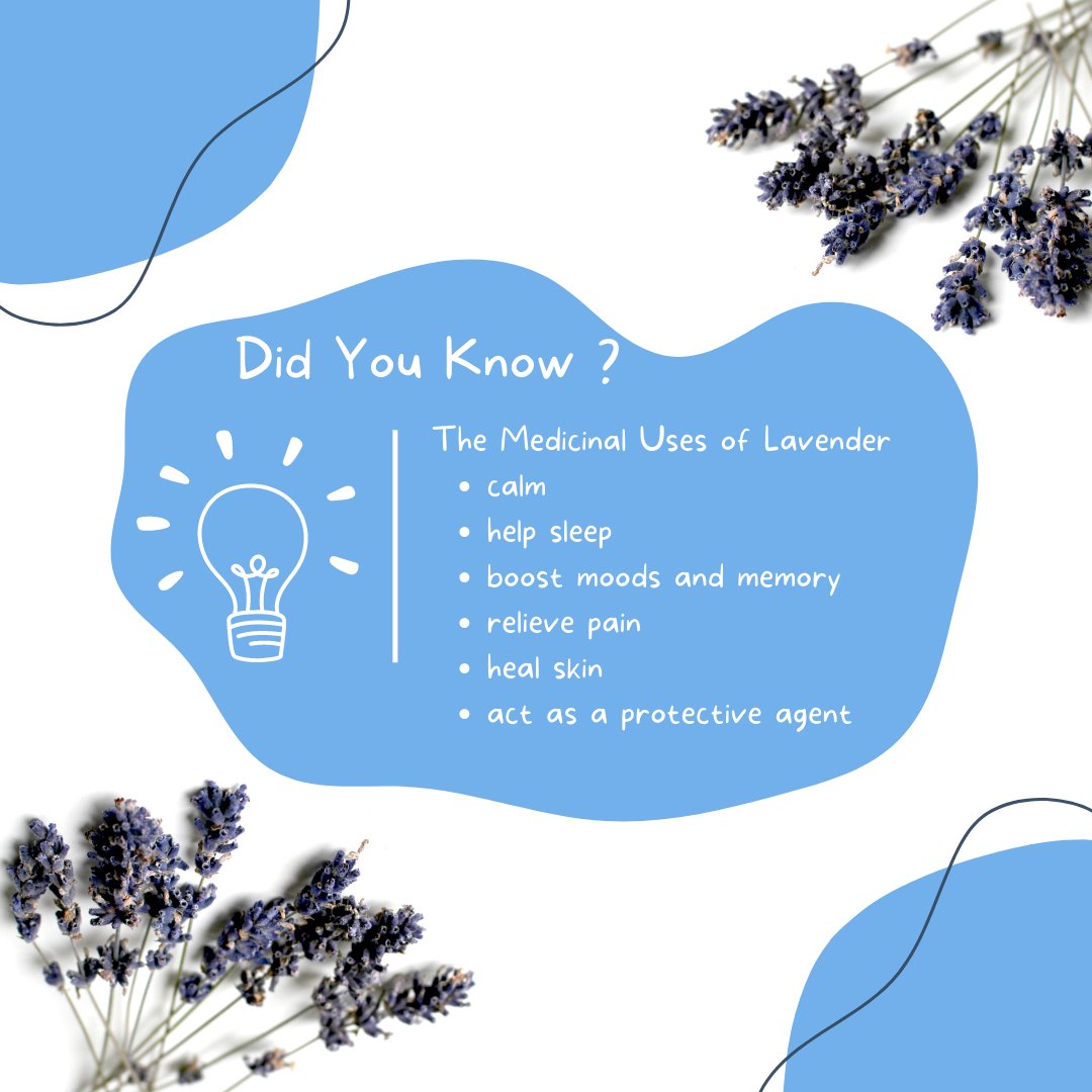 Did you know the medicinal uses of Lavender?
#medicinanatural #selfcare #lavender #sleepremedies #mentalhealth